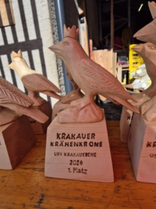 K800_IMG-20260208-WA0024