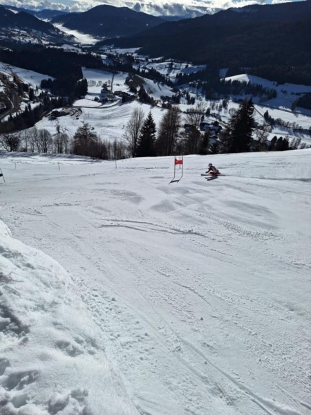 K800_IMG-20260208-WA0031