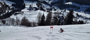 K800_IMG-20260208-WA0031